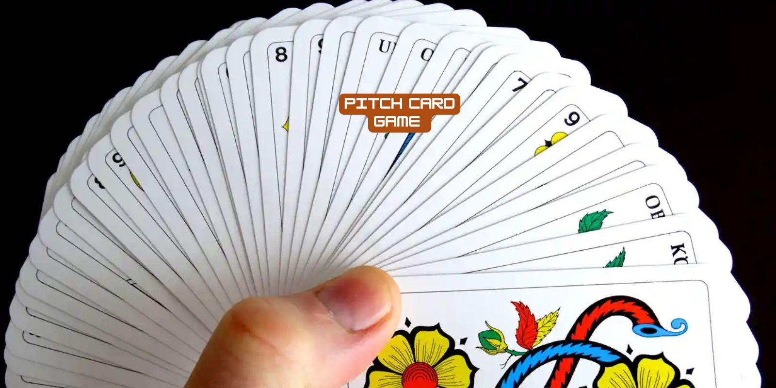 pitch card game