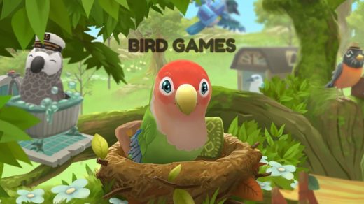 bird games